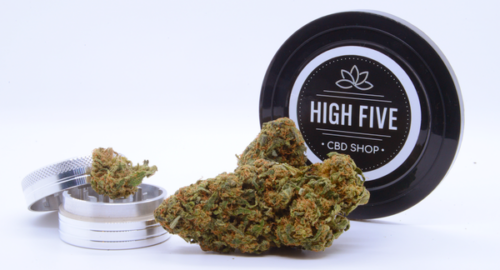 OG-Kush-CBD-HIgh-Five-raviv-article