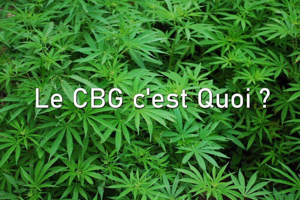 cbg-cest-quoi