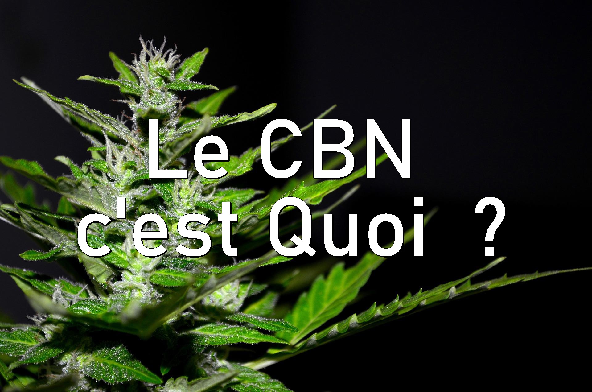 cbn-cest-quoi