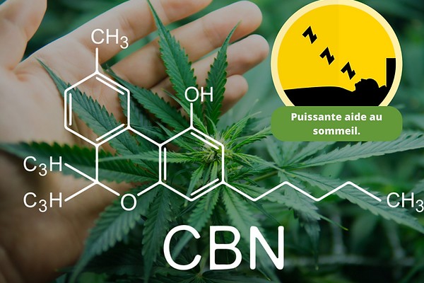 cbn sommeil