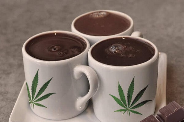 chocolat cbd