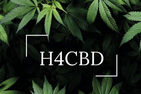 qu est ce que h4cbd