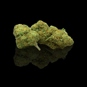 Jack Herrer Fleurs de CBD